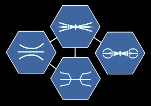 Symbol-Verbindungen mit dem Dorje